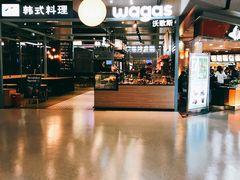 -Wagas沃歌斯(虹桥机场T1店)