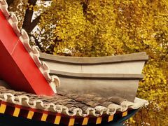 -四川大学(华西校区)