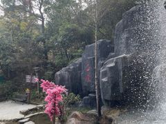 -清境桃源