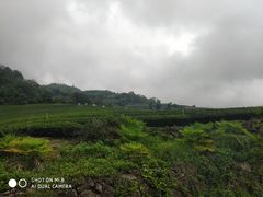 -优游吧斯邹族文化部落