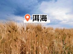 -大理洱海