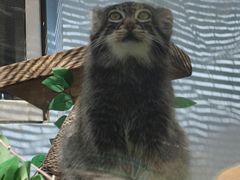 -青藏高原野生动物园