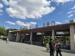 -自然谷恐龙园