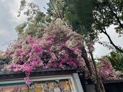 -深圳国际园林花卉博览园