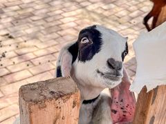 -水上乐园·欢乐世界