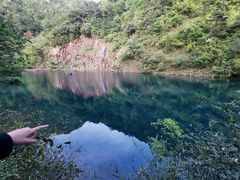 -大奇山国家森林公园