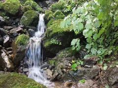 -秦岭天竺山景区