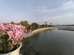 -中国翰园碑林