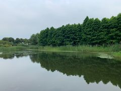 -阳澄湖半岛旅游度假区