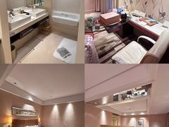 -电谷雅阁国际大酒店
