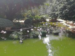-九龙公园