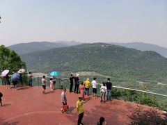 -铁山坪森林公园