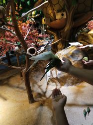 -酷嗒动物文化乐园(cutezoo西溪乐天城店)