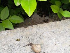 -必胜客(唐延店)