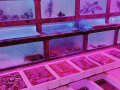 水产区-长平肥姐白粥·海鲜打冷