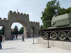 -铁山坪森林公园