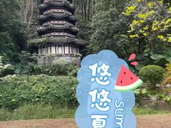 -深圳国际园林花卉博览园