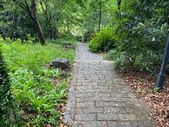 -苏州上方山国家森林公园