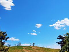 -丁香湖公园