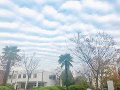 -扬州大学(扬子津校区)