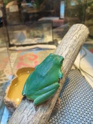 -酷嗒动物文化乐园(cutezoo西溪乐天城店)