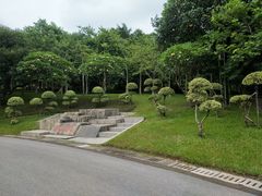 -火炉山森林公园