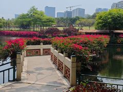 -深圳龙潭公园
