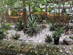 -凤来栖·净庭院·火锅(欧尚店)