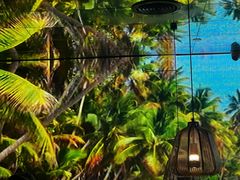 -大头椰·椰子鸡火锅(南宁万象城店)