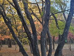 -长春市南湖公园