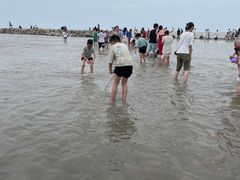 -南汇嘴观海公园