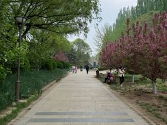 -元大都城垣遗址公园