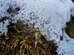 -秦岭终南山世界地质公园翠华山景区