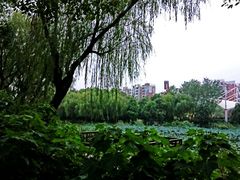 -新江湾城公园