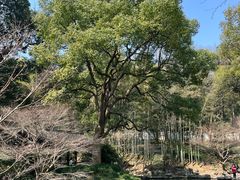 -杭州植物园