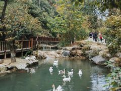 -云丘山景区