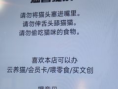 -平行世界·猫咖(首经贸店)