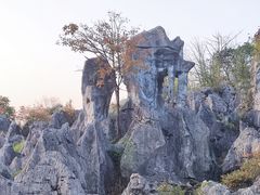 -千岛湖石林