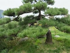 -贵阳高新惠诚食品有限公司