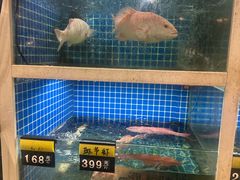 -金龙·打边炉(南京西路店)