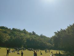 -广州雕塑公园