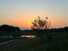 -洨河生态公园