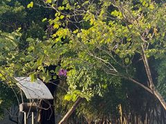 -华南师范大学(广州大学城校区)