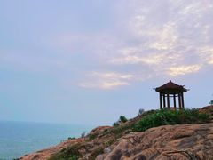 -广东惠东海龟国家级自然保护区