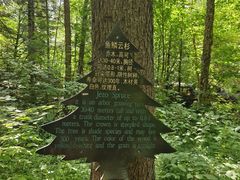 -五营国家森林公园
