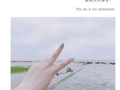 -南汇嘴观海公园