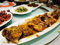 糖醋鲤鱼-城南往事·鲁菜济南菜(软件园美莲广场店)