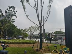 -上海第二工业大学(金海路校区)