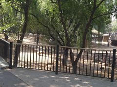 -石家庄市动物园