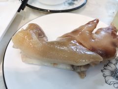 -丁老爷子苏香圆